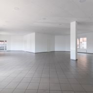 Lokal na wynajem
