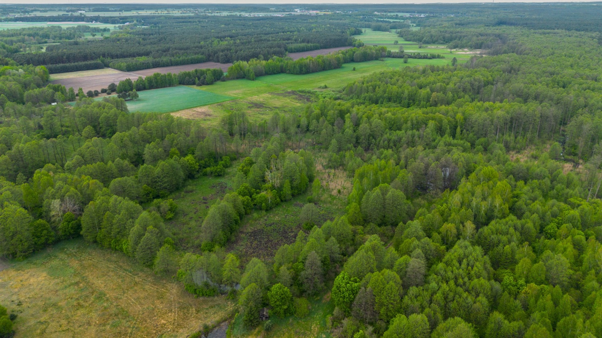 Działka na sprzedaż